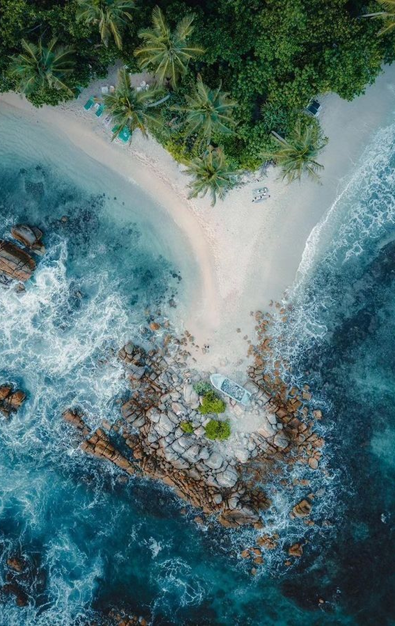 Tea gardens in Sri Lanka